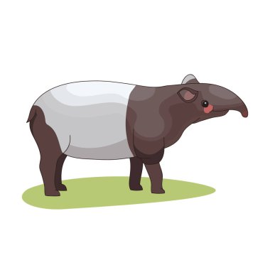 Tapirus indicus - Malayan tapir - Side view - Flat vector Isolated.