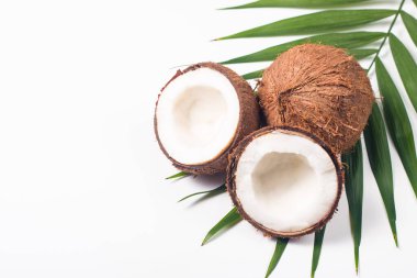 Beyaz arka planda yeşil yapraklı, yarım kesilmiş hindistan cevizi. Ayrı bir kavram.