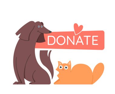 Köpek ve kedi yan yana oturur. Hayvan barınağına destek, gönüllü olmak..