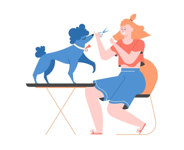 Girl with scissors cuts a poodle. Groomer at home. Stockvector