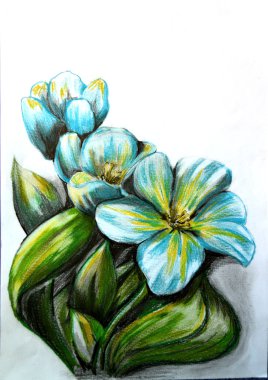 İlk bahar çiçekleri