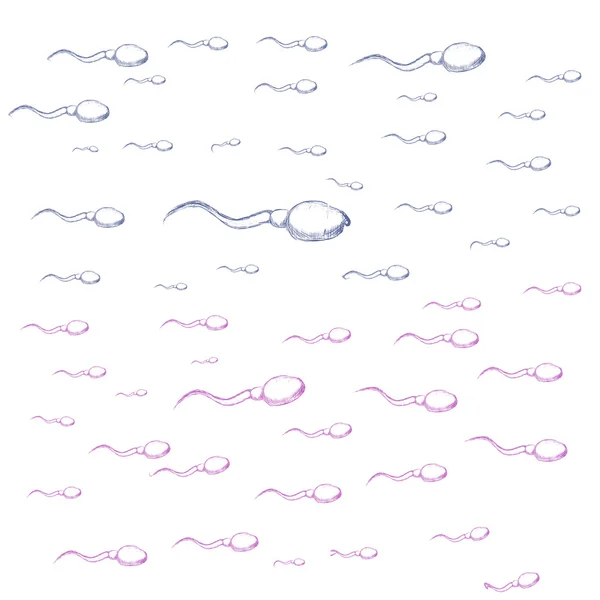 Illustration of sperm — Stock Vector