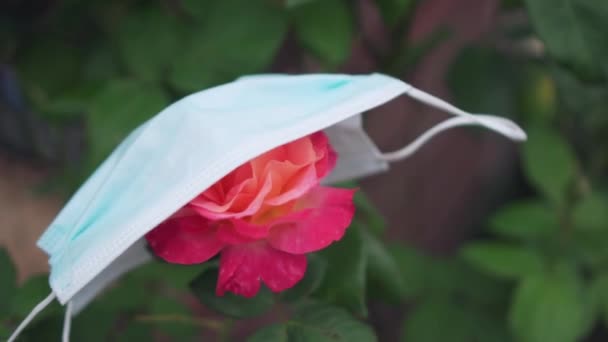 Symbolische Gesichtsmaske fällt von Rose und enthüllt schöne rote Blume — Stockvideo
