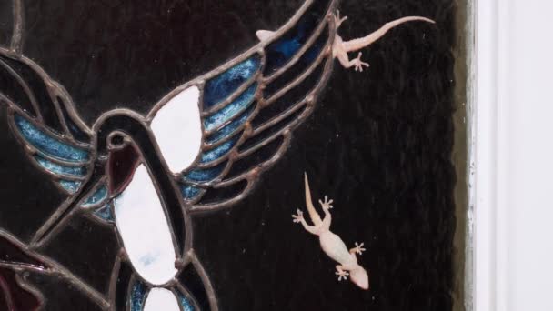 Two geckos crawl on stained glass house window at night hunting food — Stock videók