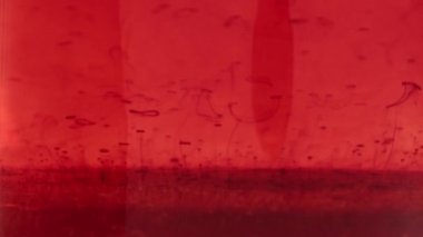 Red bubbles form and slowly rise through transparent red liquid, macro