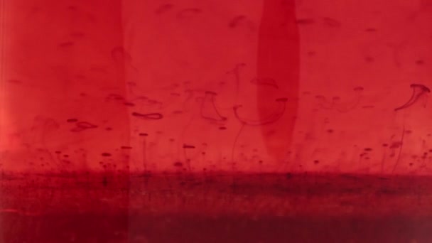 Red bubbles form and slowly rise through transparent red liquid, macro — Videoclip de stoc