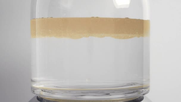 Oil and honey poured into water separate into different density layers — Video