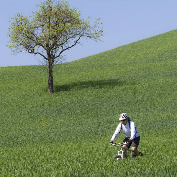 Ciclista sulla verde campagna — Foto Stock