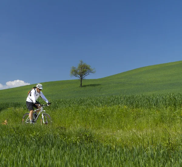 Ciclista en verde campo ingenio su perro —  Fotos de Stock