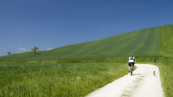 Cyklist på gröna landsbygden vett hans hund — Stockfoto