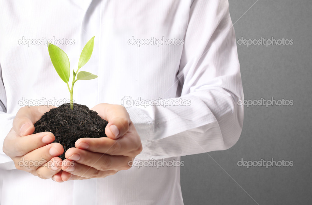 holding green plant in hand