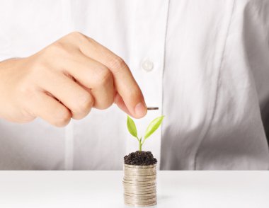 bir avuç bozukluk çimlenme bitki holding