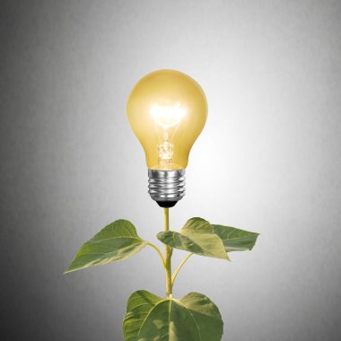 ampul filaman olarak bitki ile