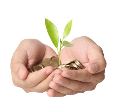 bir avuç bozukluk çimlenme bitki holding