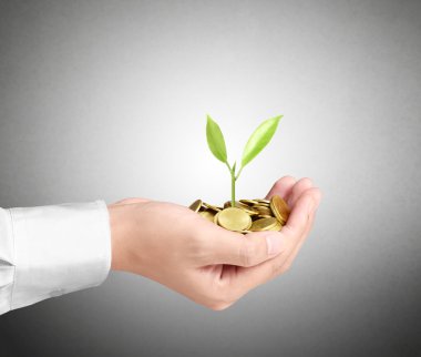 avuç bozukluk çimlenme bitki holding