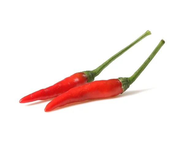 Pimentos de pimentão — Fotografia de Stock