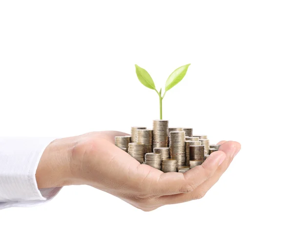 Empresario sosteniendo planta brotando de un puñado de monedas —  Fotos de Stock