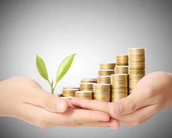 Holding plant sprouting from handful of coins — Stock Photo, Image