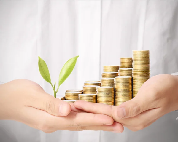 avuç bozukluk çimlenme bitki holding