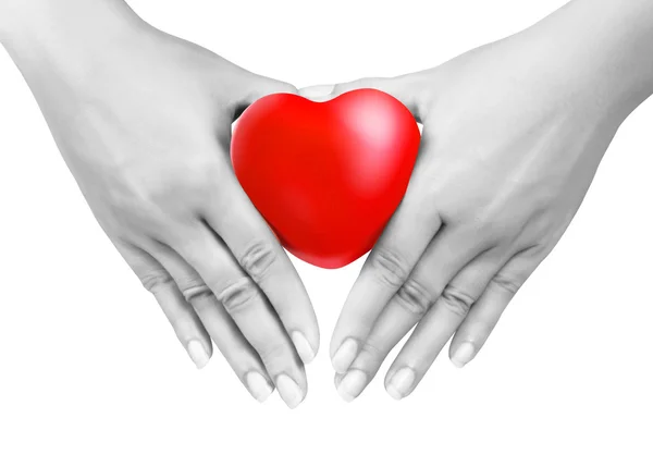 Hjärtat i händerna — Stockfoto