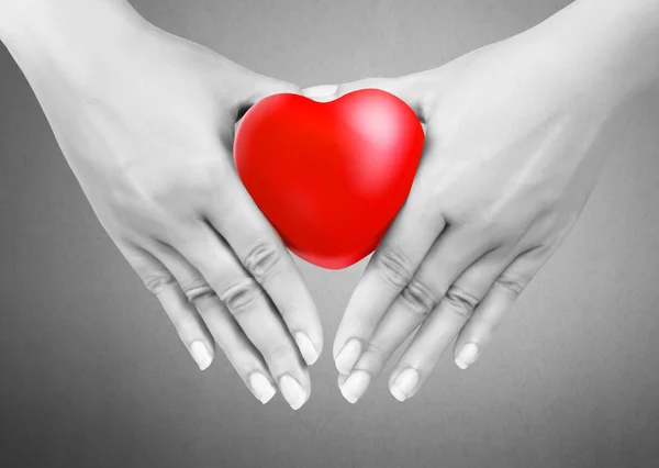 Hjärtat i händerna — Stockfoto