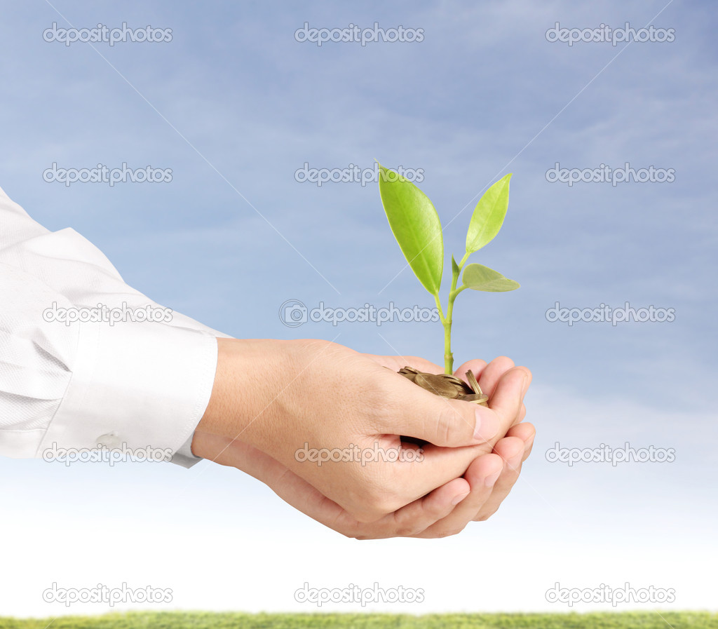 holding plant sprouting from a handful of coins