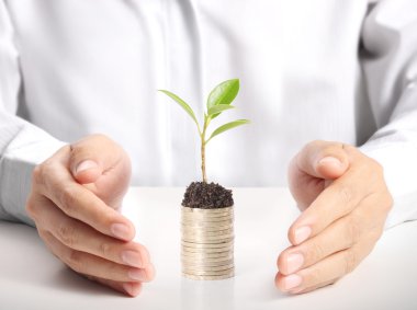 holding plant sprouting from a handful of coins clipart