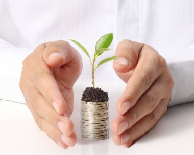 bitki çimlenme tutan işadamı