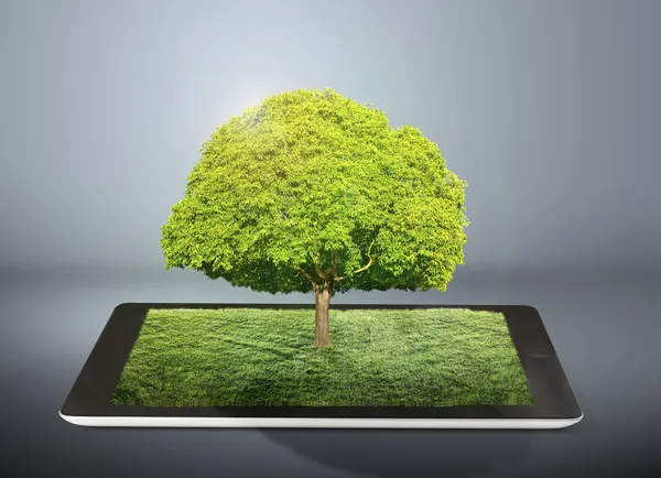 tablet computer and tree on it