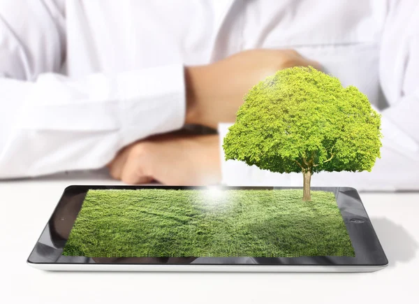 Tablet PC met een grasveld en boom — Stockfoto