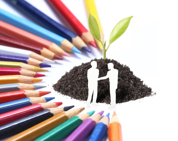 Цветной карандаш и растение — стоковое фото