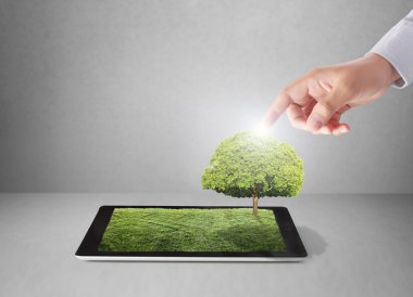 Beyaz çim sahada tablet ve ağacı