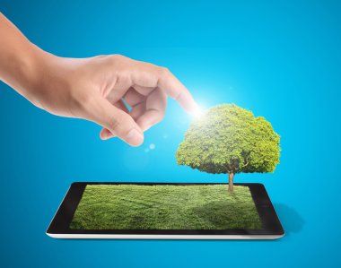 Beyaz çim sahada tablet ve ağacı