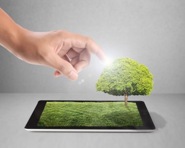 Beyaz çim sahada tablet ve ağacı