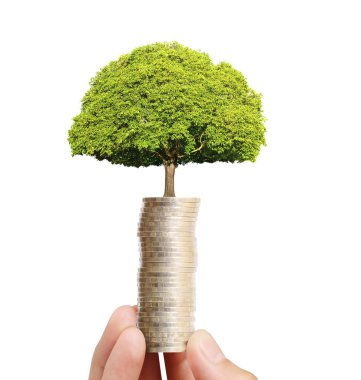 avuç bozukluk çimlenme bitki tutan işadamı 