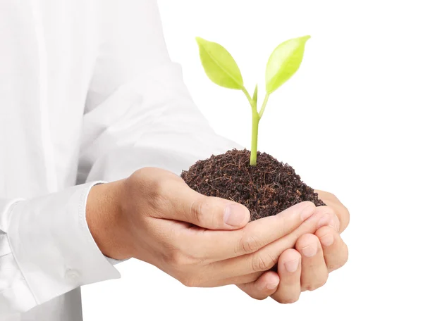 Businessman holding plant — Stock Photo, Image