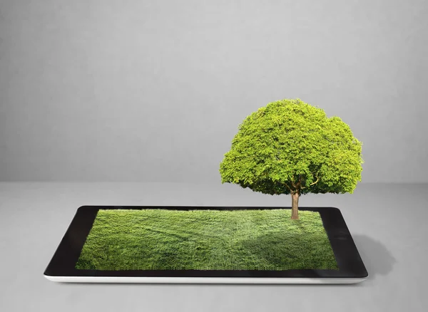 Tableta en el campo de hierba blanca y el árbol — Foto de Stock