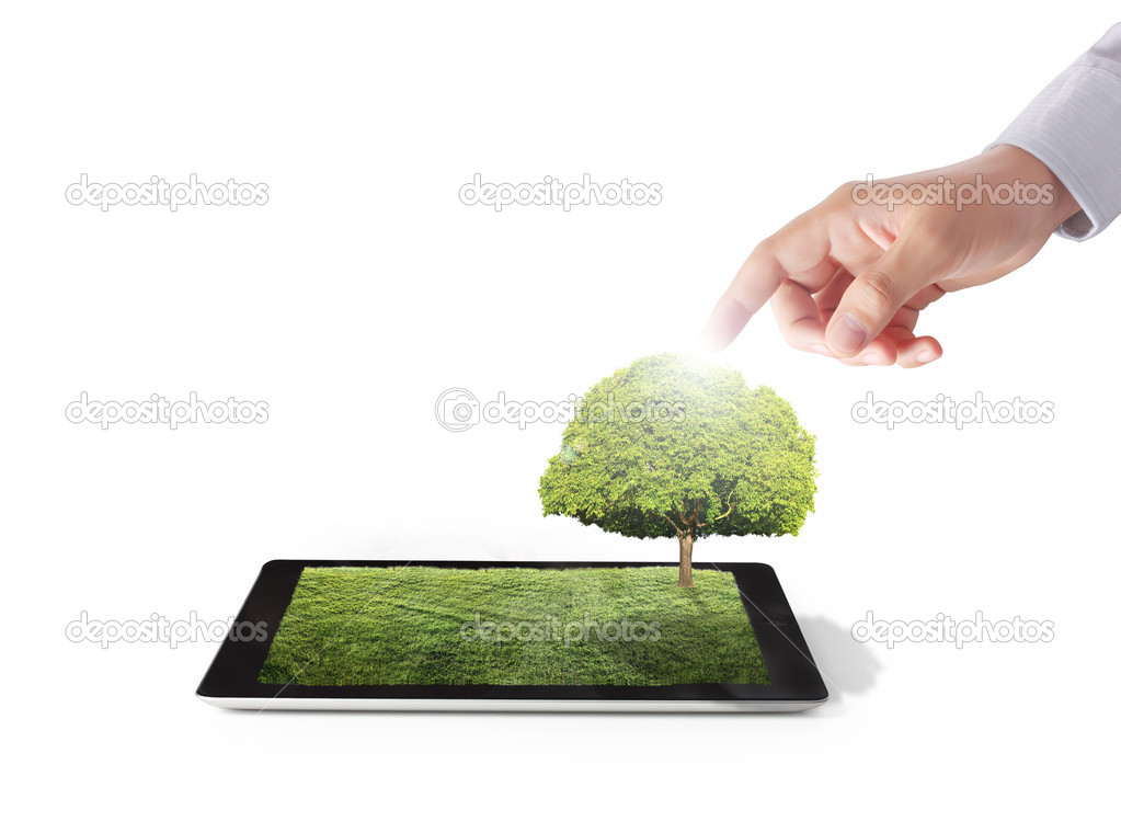 tablet on the white grass field and tree