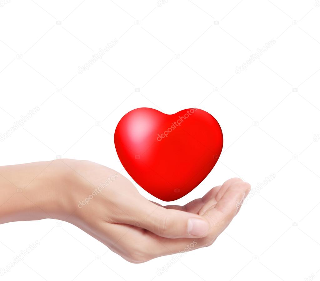 Heart in  hands isolated 