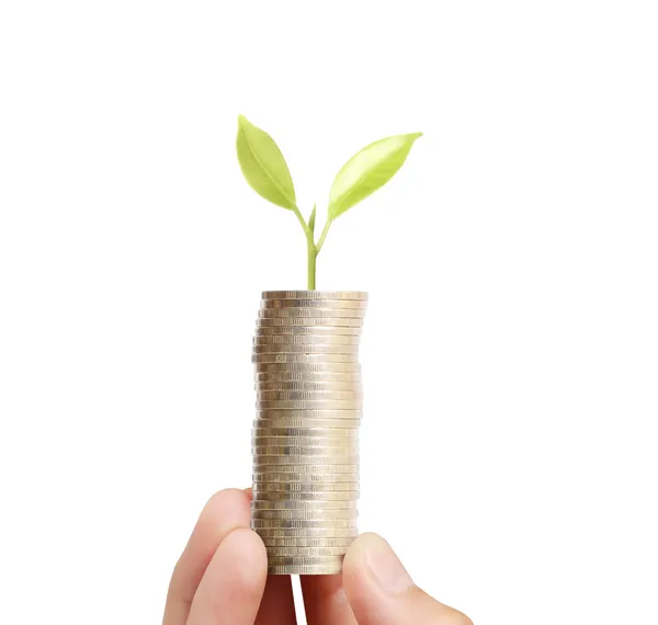 Affärsman hålla växten gro från handfull mynt — Stockfoto