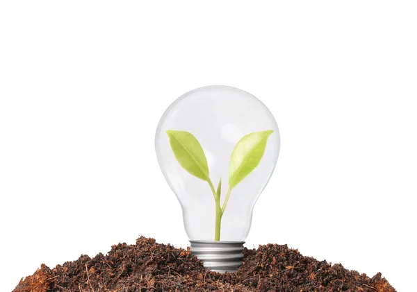 Energiebesparende lamp — Stockfoto