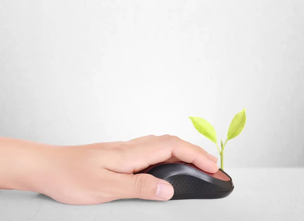 Mani utilizzando il mouse con la pianta — Foto Stock