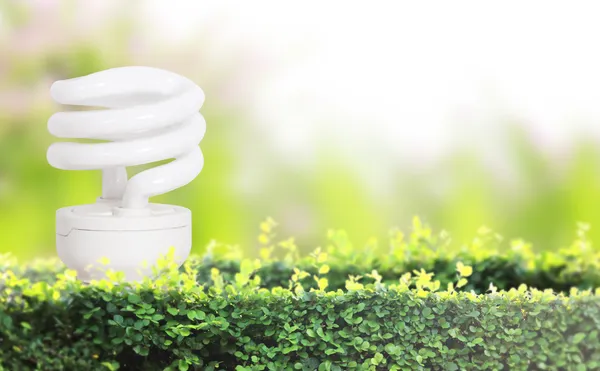 Energy saving light bulb — Stock Photo, Image