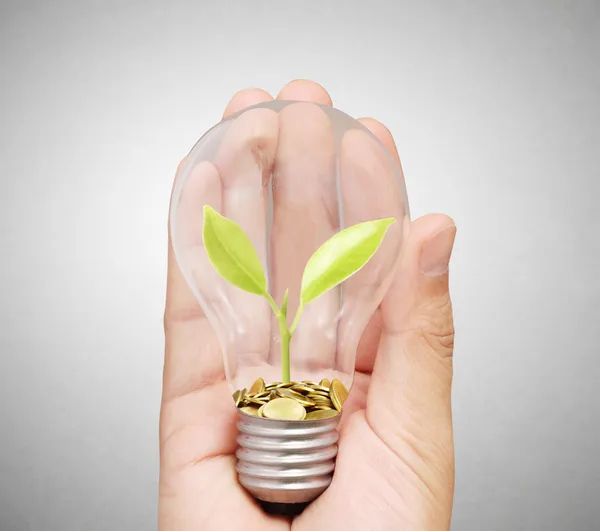 Ideas light bulb in  hand — Stock Photo, Image