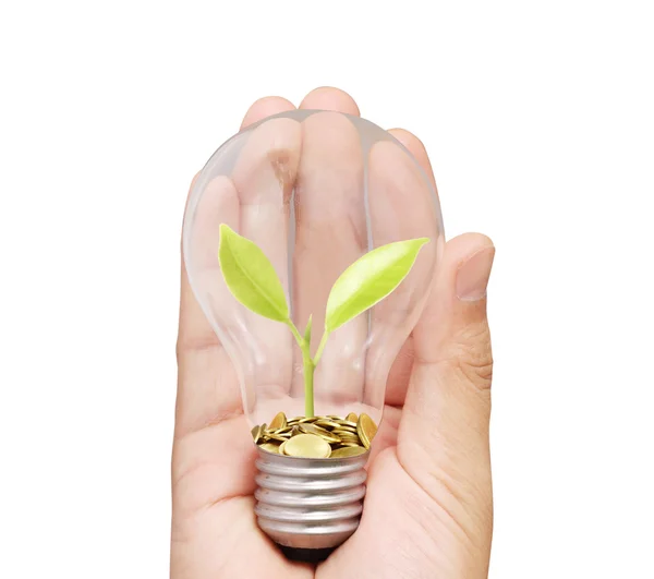 Ideas light bulb in  hand — Stock Photo, Image