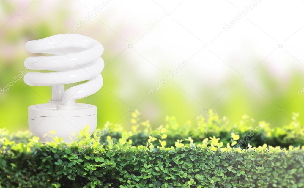 energy saving light bulb 