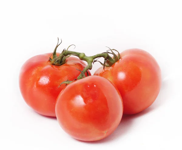 Tomaten isoliert auf weiß — Stockfoto