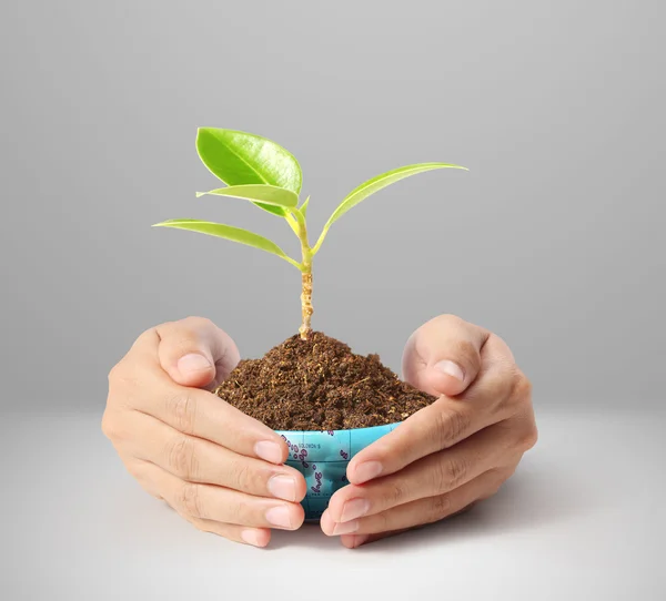 Erde in menschlicher Hand — Stockfoto