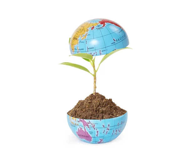 Green plant on Earth — Stock Photo, Image
