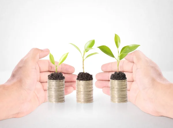 Tenencia de la planta de puñado de monedas — Foto de Stock